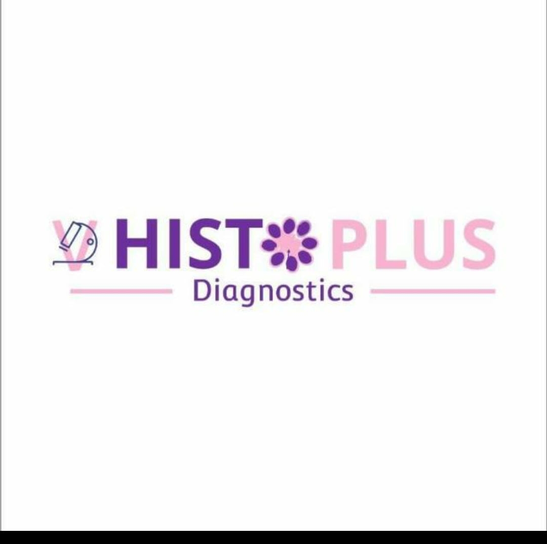 v hist plus diagnostics v hist plus diagnostics